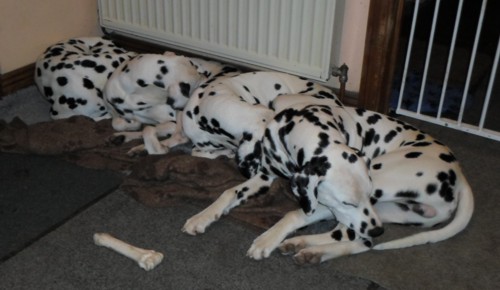 thinking about things